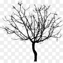 树枝剪贴画-空若网 树枝剪贴画-空若网