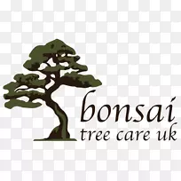 树盆景的活艺术标志水板我-树-空若网 树盆景的活艺术标志水板我-树-空若网