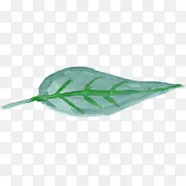 Ҷˮ�ʻ���Ҷ-������