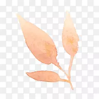 水彩画叶水彩花透明水彩艺术-空若网 水彩画叶水彩花透明水彩艺术-空若网