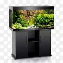 珊瑚礁水族馆鱼池-鱼-空若网 珊瑚礁水族馆鱼池-鱼-空若网