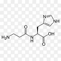 肌肽膳食补充剂结构组氨酸氨基酸-空若网 肌肽膳食补充剂结构组氨酸氨基酸-空若网