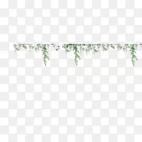 嫩枝绿草,植物茎叶-叶-空若网 嫩枝绿草,植物茎叶-叶-空若网