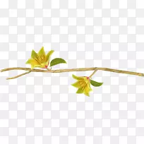 花卉图标-装饰性边缘花-空若网 花卉图标-装饰性边缘花-空若网