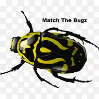 甲虫下载剪辑艺术-甲虫-空若网 甲虫下载剪辑艺术-甲虫-空若网