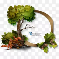 »¿òÊ÷»´°Ê÷-¿ÕÈôÍø »¿òÊ÷»´°Ê÷-¿ÕÈôÍø