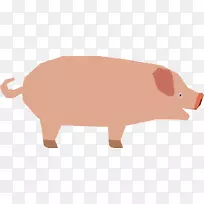 家猪,,鼻子猪-空若网 家猪,,鼻子猪-空若网