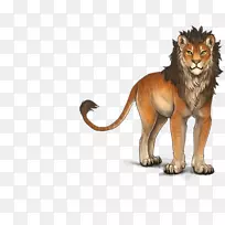 狮子大猫咆哮陆地动物-狮子-空若网 狮子大猫咆哮陆地动物-狮子-空若网