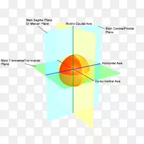 图线角线-空若网 图线角线-空若网