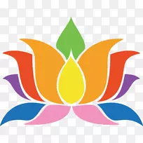 ����nelumbo nucifera����ԳƼ�������-������