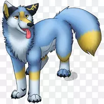 猫狗鼻子-猫-空若网 猫狗鼻子-猫-空若网