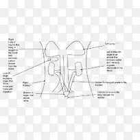 纸线艺术设计-空若网 纸线艺术设计-空若网