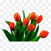 花束郁金香剪贴画-花-空若网 花束郁金香剪贴画-花-空若网