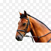 ������Ӱ-���-������