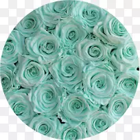 切花绿松石花瓣-空若网 切花绿松石花瓣-空若网