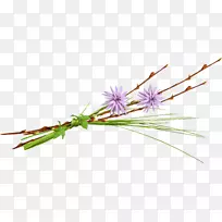 ����-������