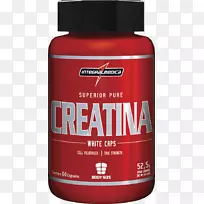 ��ʳ��������ἡ�ὺ�����嵰��-BCAA-������