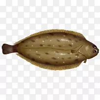 比目鱼石底比目鱼脚-空若网 比目鱼石底比目鱼脚-空若网