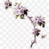 花花剪贴画-空若网 花花剪贴画-空若网