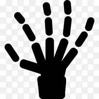 手指扁平骨医学.骨架-空若网 手指扁平骨医学.骨架-空若网