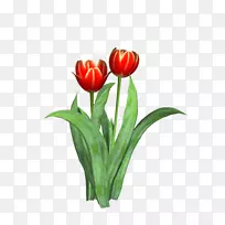 �������л�ֲ��-������-������