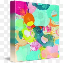 长方形蟾蜍-空若网 长方形蟾蜍-空若网