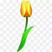 ɽ����Ҷ����ɽ���ǻ���������-������