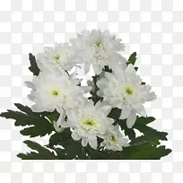 �ջ��л��ƶ���ֲ��ջ�-������