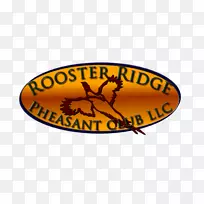 �̱�����-����-������