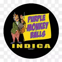 标志-紫色球-空若网 标志-紫色球-空若网