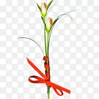 花卉设计切花花束植物茎花-空若网 花卉设计切花花束植物茎花-空若网