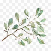 ˮ�ʻ���Ҷ-������