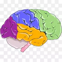 �ԡ�������ϵͳ����ѧ������-��-������