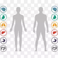 �粿��־��֯����-ppt����-������