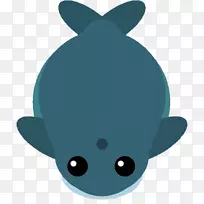 海洋鼻子。-空若网 海洋鼻子。-空若网