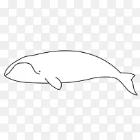 鼻子白色剪贴画-鼻子-空若网 鼻子白色剪贴画-鼻子-空若网