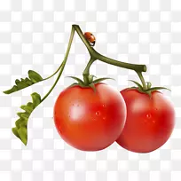 §£§ß§Ö£¬§Ú§Ô§â§í£¬ÇÑ×Ó£¬Ó£ÌÒ£¬·¬ÇÑ£¬Êß²Ë-¿ÕÈôÍø §£§ß§Ö£¬§Ú§Ô§â§í£¬ÇÑ×Ó£¬Ó£ÌÒ£¬·¬ÇÑ£¬Êß²Ë-¿ÕÈôÍø