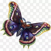 ���������ɶ격�ͼ�����-����-������