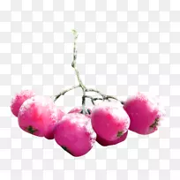 水果-空若网 水果-空若网