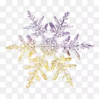 雪花日记引用博客-雪花-空若网 雪花日记引用博客-雪花-空若网