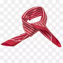 ��װ����ʱ��-Seda roja-������