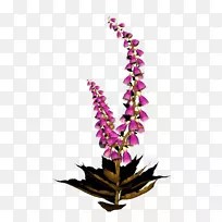 谷歌图片-空若网 谷歌图片-空若网