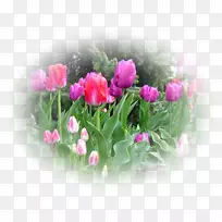 �������л�ˮī���������-������-������