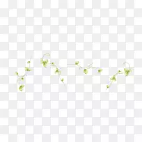 ���Ʋݻ���-������