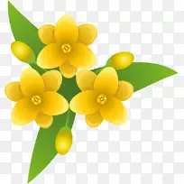 花卉设计-无花果-空若网 花卉设计-无花果-空若网