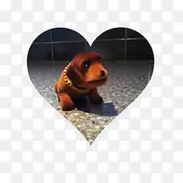 达克斯犬鼻子-小狗-空若网 达克斯犬鼻子-小狗-空若网