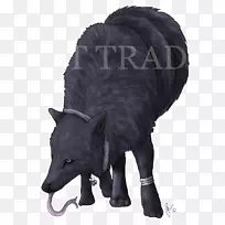 ��ëƤ-���-������