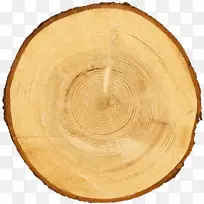 ľ�ʲ;�/m/083vt��������-ľ��-������