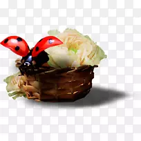 ����ư�������.ư��-������