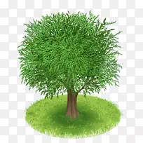 树绿剪贴画-树-空若网 树绿剪贴画-树-空若网